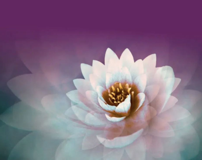Silent Love Retreat, July 23rd 3:00PM, 2026