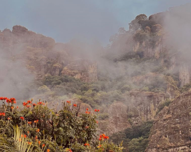 10-day Immersion in Mexico, October 11th 5:00PM, 2025