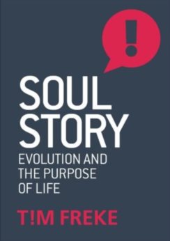 Soul Story